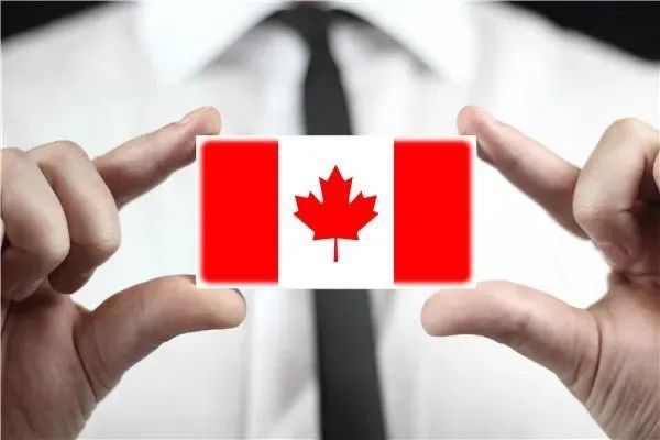 移民意愿暴增！如何抓住加拿大移民利好时机