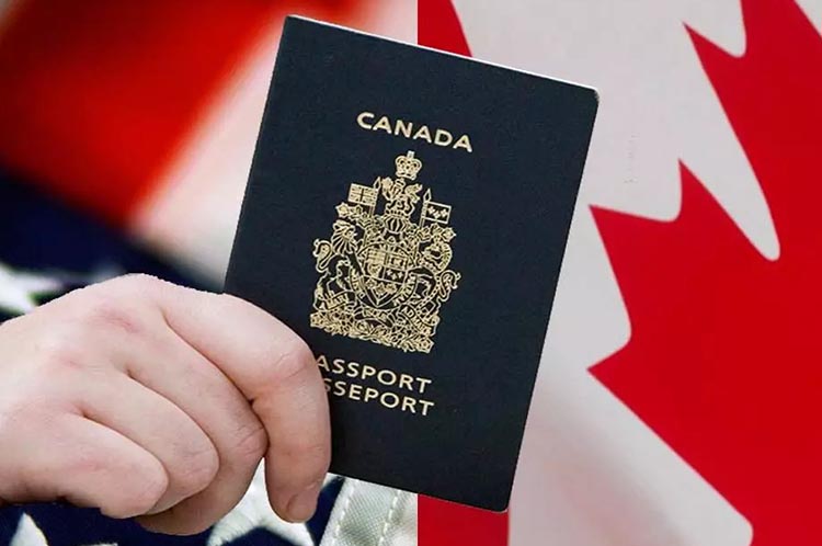 2021最新加拿大EE邀请结果，想要移民要尽快了！
