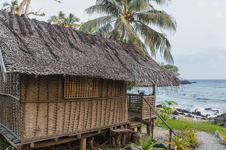 走近瓦努阿图，带你领略独特的酋长文化